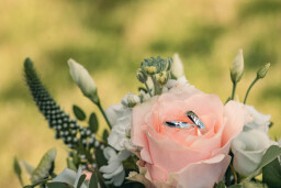 svatba g+p-FB-046_